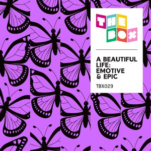 老骚逼求操视频
