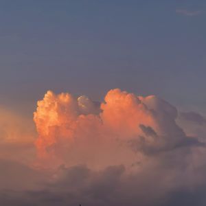 老骚逼求操视频
